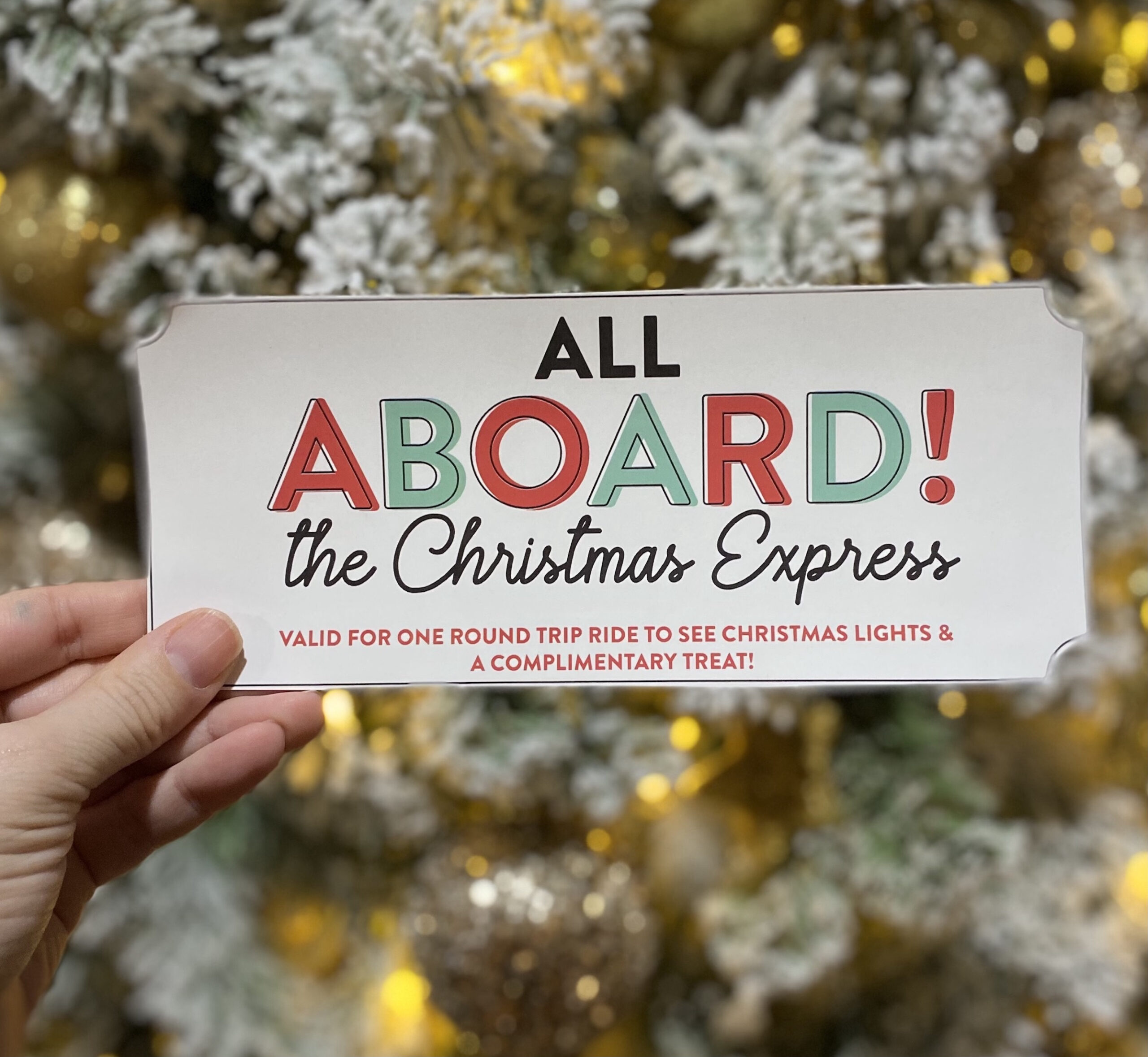 Our Christmas Express Ticket in front of tree